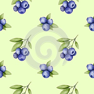 Blueberry sprig seamless pattern with light green background. Digital watercolor design for fabric, print