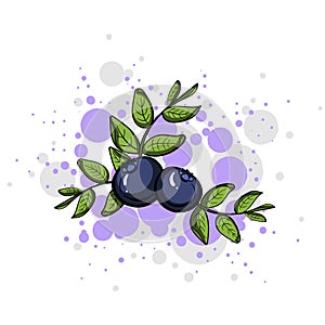 Blueberry Style