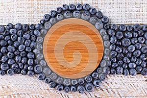 Blueberry surrounding wooden disk - organic fruit label design