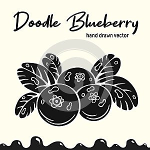 Blueberry vector illustration, berries images. Doodle Blueberry silhouette vector illustration. Blueberry berries images