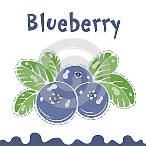 Blueberry vector illustration, berries images. Doodle Blueberry vector illustration in violet blue and green color