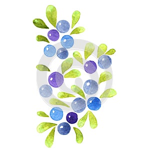 Blueberry watercolor for decoration on fruit , healthy food.