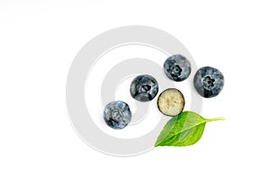 Blueberry on white background