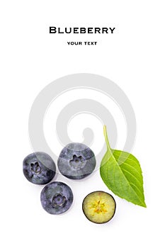 Blueberry on white background