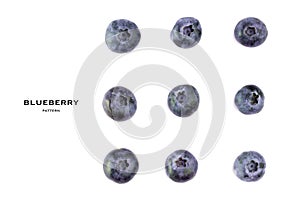 Blueberry on white background