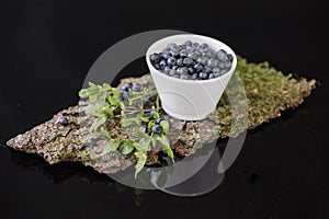 Blueberry in white bowl on bark with moss,