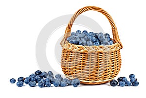 Blueberry in wicker basket isolated on a white