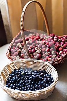 Blueberry and wild berry in a basket