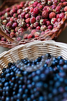 Blueberry and wild berry in a basket