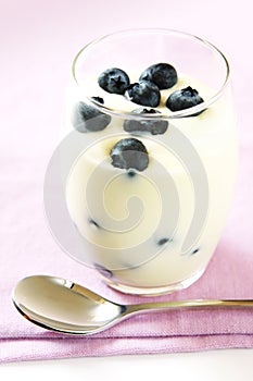 Blueberry Yoghurt