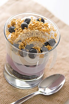 Blueberry Yogurt Parfait