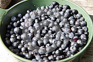 Blueberrys in a bowl