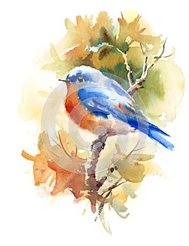 Bluebird Bird on the Branch with Autumn Leaves Watercolor Fall Illustration Hand Painted