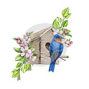Bluebird on the birdhouse with spring flowers. Watercolor hand painted illustration. Cozy spring decoration. Bluebird on