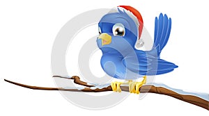 Bluebird in Christmas hat