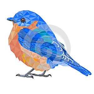 Bluebirds small birds  polygons on a white background   vintage  vector illustration editable hand draw