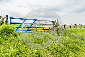 Bluebonnet field and Texas flag gate in countryside of Ennis, TX