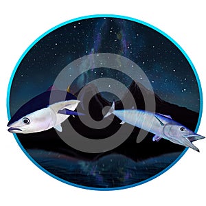Bluefin tuna and mahi mahi fish with a sky blue background