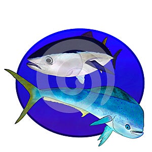 A bluefin tuna and mahi mahi fish underwater 