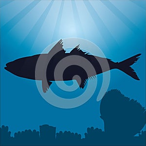 bluefin tuna silhouette. Vector illustration decorative design