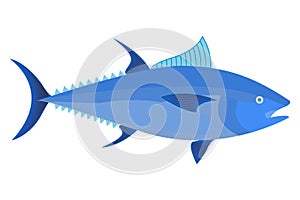 Bluefin tuna on white background.