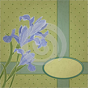 Blueflag floral frame photo