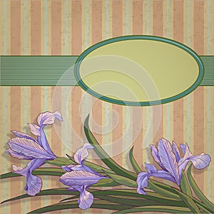 Blueflag floral frame