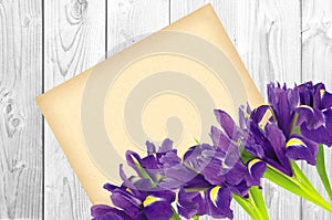 Blueflag or iris flower and greeting card on white wooden backgr photo