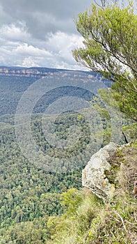 Bluemountains
