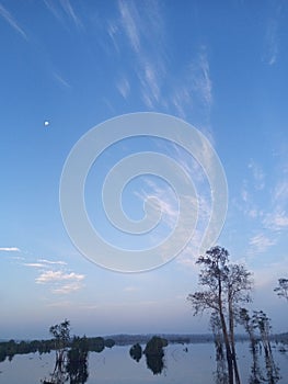 BlueSky on the lake