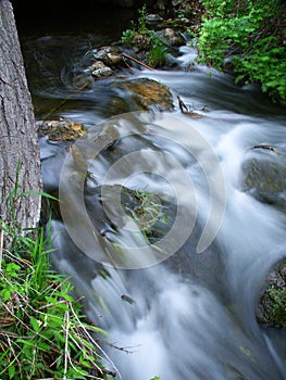 Bluff Creek State Natural Area - Wisconsin