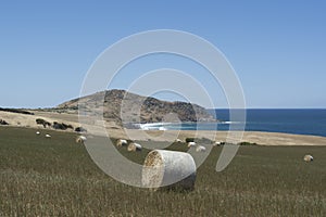 The Bluff and Field of Hay Bales, Kings Beach, Fleurieu Peninsula, SA