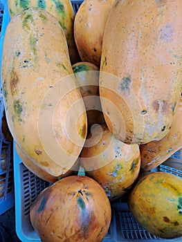 Blunt papaya fruit on display in the shop