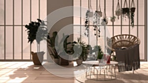 Blur background interior design: modern conservatory, winter garden, white interior design, lounge with rattan armchair and table