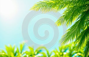 Blur beautiful nature green palm leaf on tropical beach with bokeh sun light, abstract background. Summer vacation and business