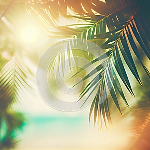 Blur beautiful nature green palm leaf on tropical beach with bokeh sun light flare wave abstract background