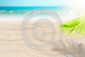 Blur beautiful nature green palm leaf on tropical beach with bokeh sun light wave abstract background