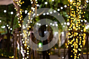 Blur - bokeh Decorative outdoor string lights hanging on tree in the garden at night time
