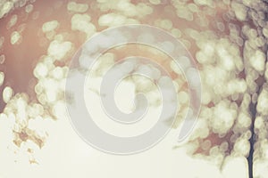 Blur dream like sunshine shade clean morning nature and bokeh background concept modern csr theme, eco spring, fresh vintage gold