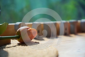 Blur glass wall cafe background with flower pot, Coffee shop blur nature background with bokeh - vintage filter effect. nature