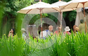 Blur of group of friends eating lunch at a garden party. Selective focus grass forground