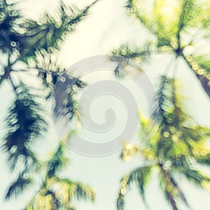 Blur palm tree with blurry tropical coconut tree leaves view looking up against summer blue mint sky for holiday vacation