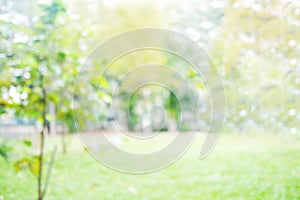 Blur park with bokeh light background, nature, outdoors, garden, spring and summer season