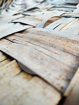 A blur photography of coconut leaf stalk pattern.