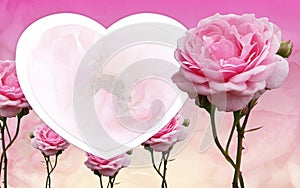 blur pink roses flower on white heart shape, pink roses buds and blossoms, on blur pink roses background, nature, decor, banner,