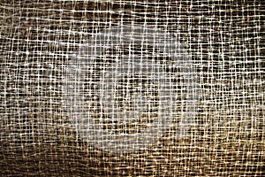 Blur plastic net roll