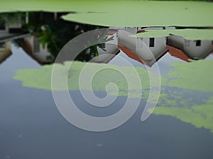 Blur red roof houses reflection in lake