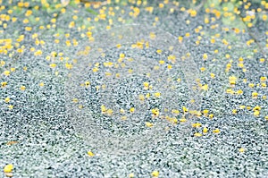 Blur small yellow flowers that fall on the black  terrazzo floor