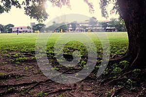 Blur soccer practice field