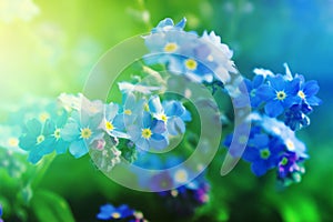 Blur spring background